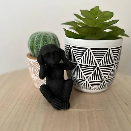 Appartement Lerelaisdodile_qsl * Maison * Hypercentre * Free Wifi *